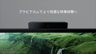 SONY（ソニー） BRAVIA CAM（ブラビアカム） カメラ・マイクユニット