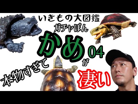 ちゃんねるカワランド】カワモト文明 - YouTube