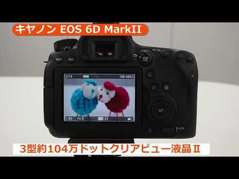 キヤノン EOS 6D MarkII ボディ | デジタル一眼レフ