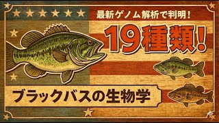 6種5亜種のブラックバスの種類」全ての種類を完全解説! | 釣りたいバス