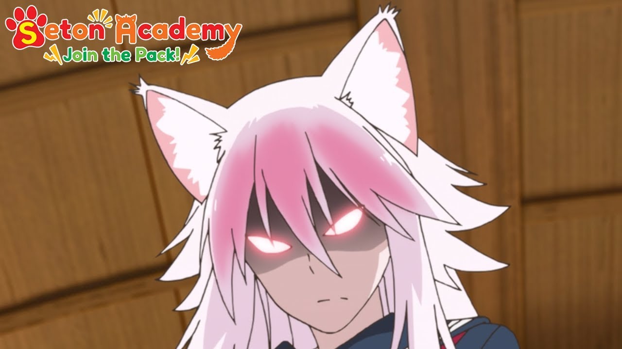 Big Sis Wolf | Seton Academy: Join the Pack! - YouTube