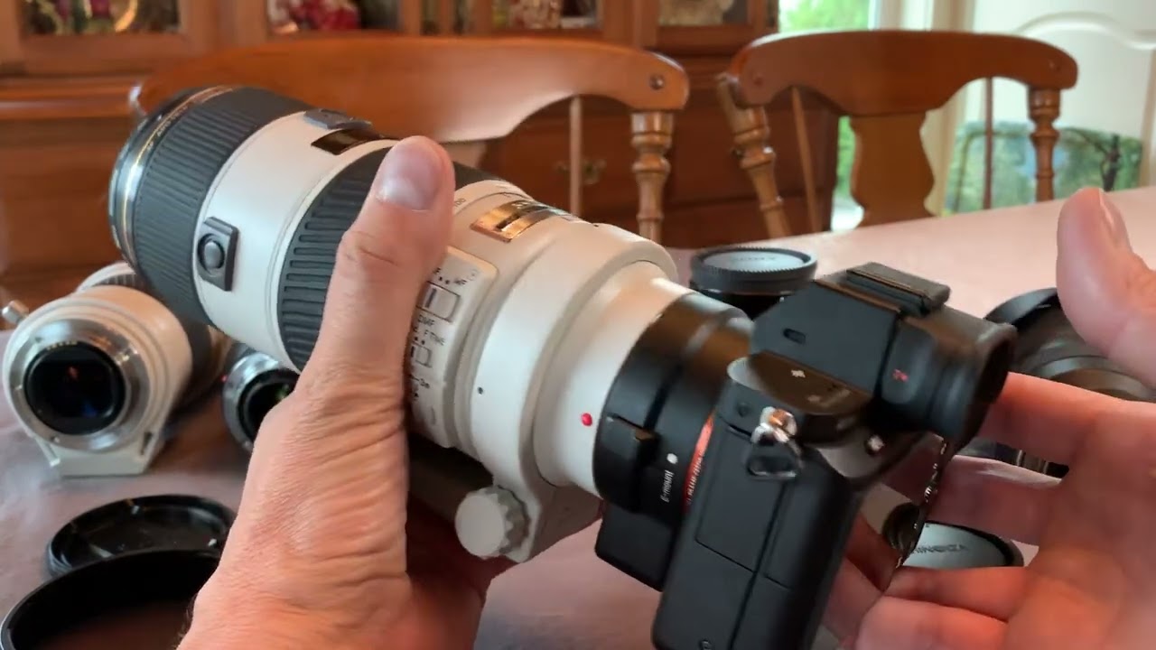 Minolta / Sony A mount & E mount A99ii, A7Rii, 80-200mm f2.8 G, 70