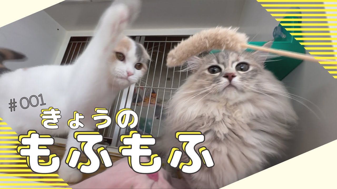 7月5日（水）のいっちゃん☆KNBは…｜いっちゃん☆KNB｜KNB WEB｜北日本