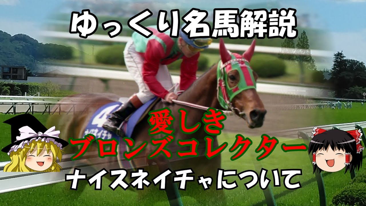 A slow explanation of famous horses: About Nice Nature - YouTube