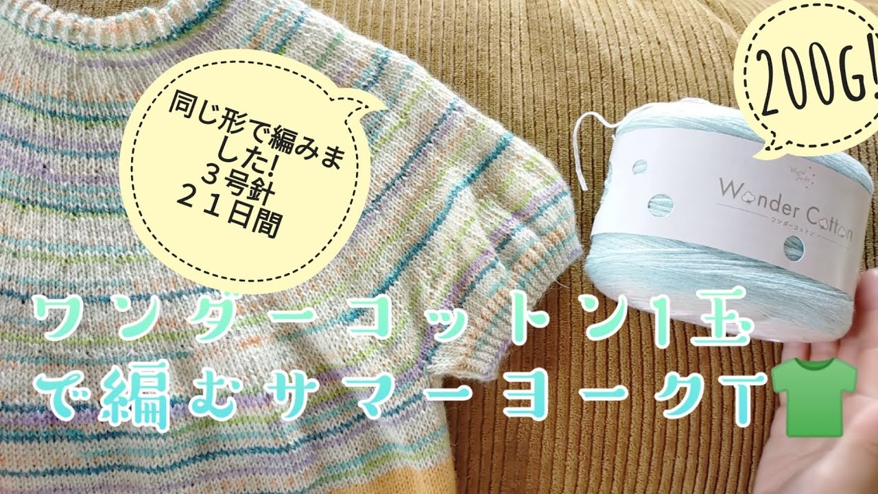 サマーセーター】ワンダーコットン1玉で編むサマーヨークTおかわり😋21
