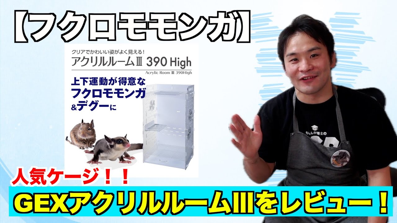 Sugar Glider] Review of GEX Acrylic Room III 390high! - YouTube