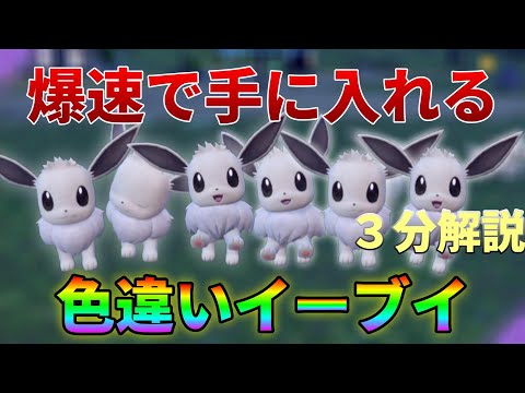 ポケモンSV】色違いイーブイの入手方法を爆速で解説 - YouTube