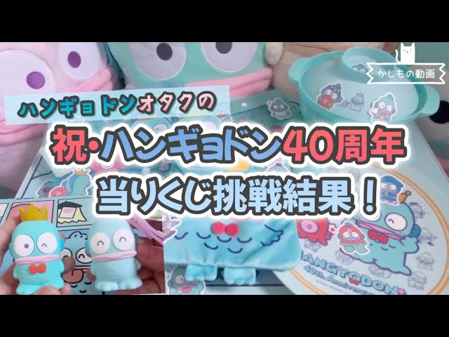 ハンギョドン40周年当りくじに7回挑戦！【グッズレビュー】 - YouTube