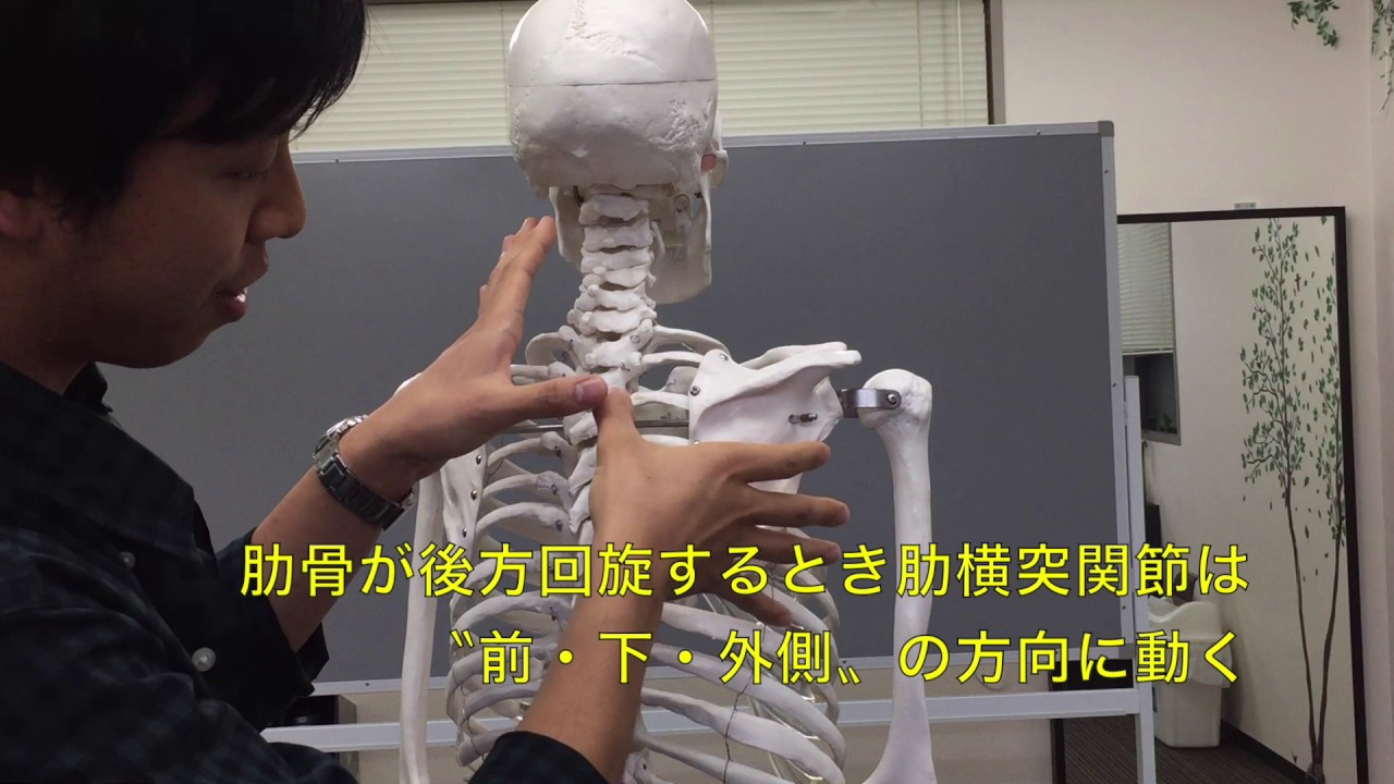 評価編】肋骨運動から体を楽にする（塚田 悠平 先生） - YouTube