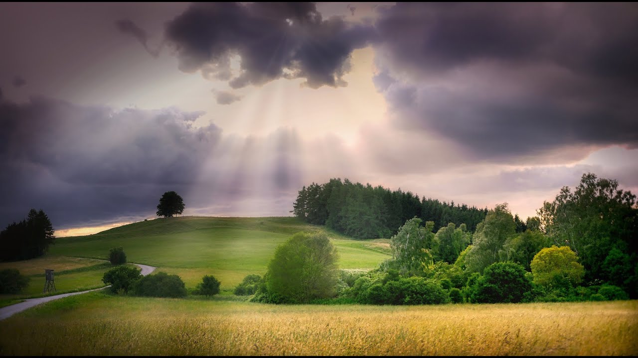 音楽大好き アルバム「ピュア 」3 ビー・ナチュラル I LOVE MUSIC