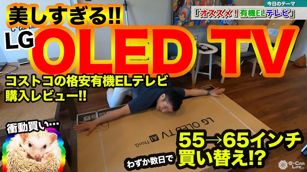 I was shocked by Costco's cheap OLED TV! It's so beautiful that I