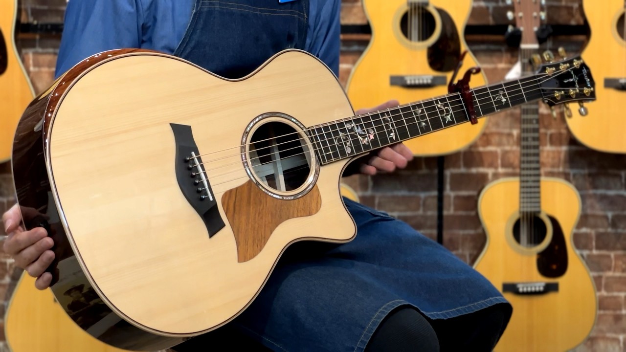 Taylor Custom 914ce Cindy -Adirondack Spruce×Indian Rosewood