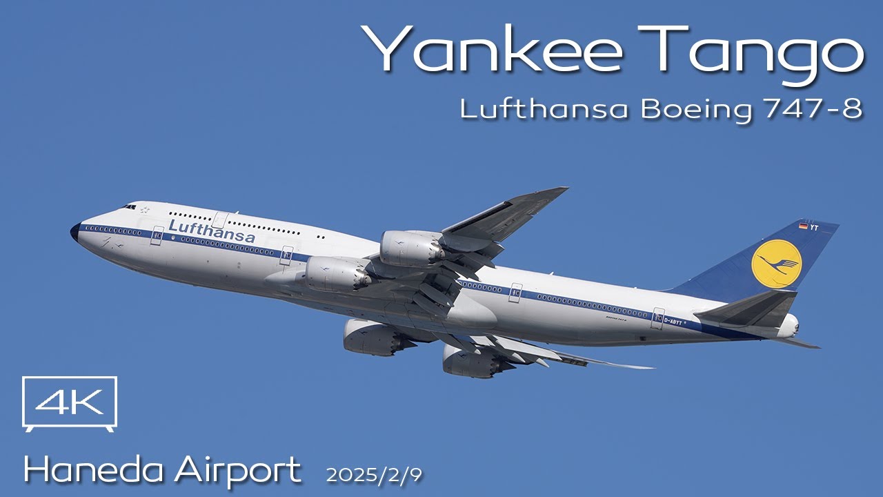 ジャンボ・レトロ塗装機】Lufthansa B747-8 (D-ABYT RETRO Livery