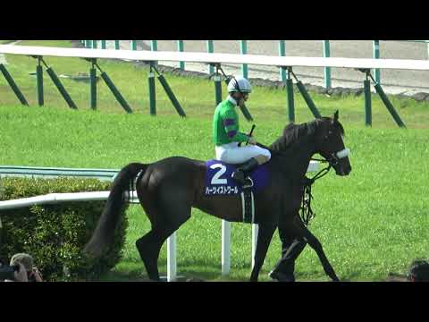 天皇賞(春)】 2022天皇賞(春) タイトルホルダーが勝利 本馬場入場 現地