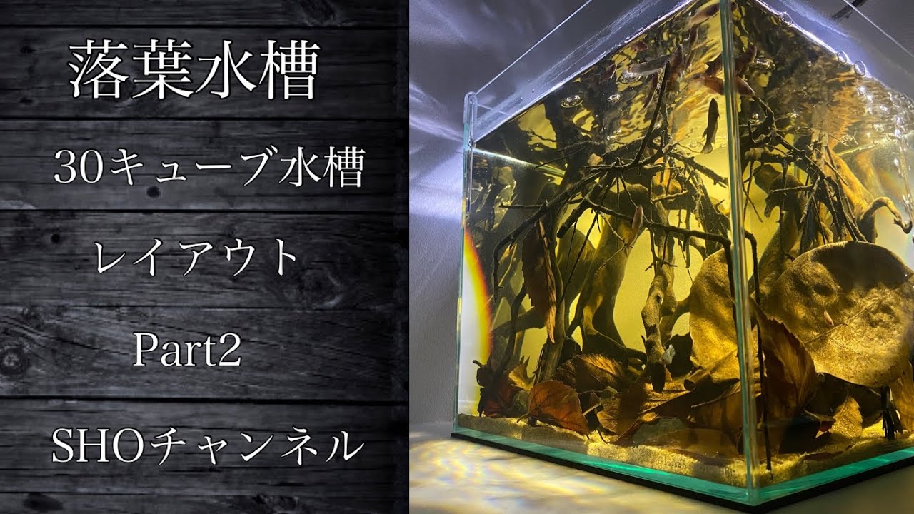 水槽のクジラ CD 貴重 レア 廃盤 開け放つ窓 水槽のクジラ CD 貴重