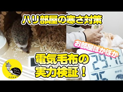 ハリネズミの寒さ対策：ケージの中を上から暖める「暖突」レビュー