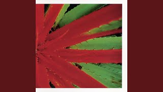 THIS AFTERNOONS MALADY (2LP)/JEJUNE/98年にBig Wheel Recreationから