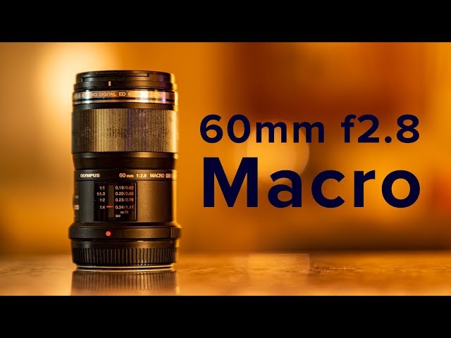 Olympus 60mm F2.8 Macro - a GREAT MFT macro lens - YouTube