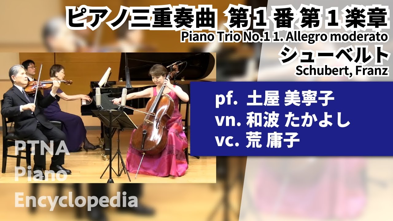 シューベルト:ピアノ三重奏曲 第1番 第1楽章 pf.土屋 美寧子:Tsuchiya