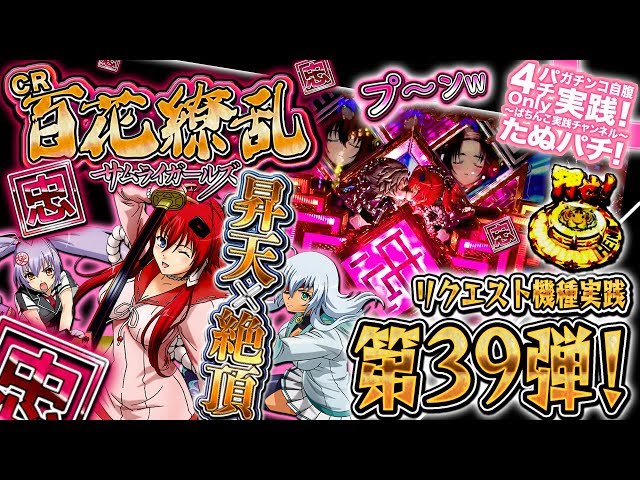 CR百花繚乱サムライガールズ 256ver. 続編が出るようなので、復習が