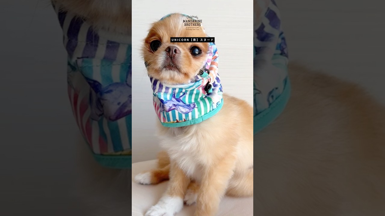 REVERSIBLE SNOOD（L）リバーシブルスヌード | MANDARINE BROTHERS