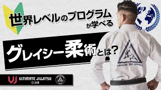 初心者のためのグレイシー柔術 - YouTube