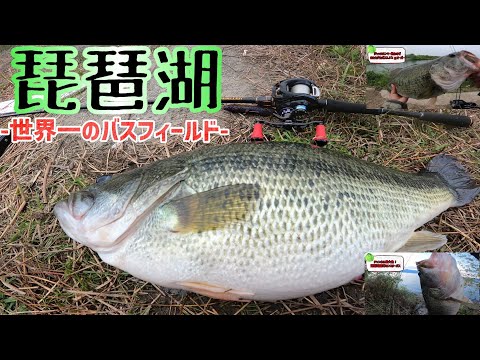 50アップ12連発！最長59㎝最重量4260gのビッグバスが釣れた2021年の