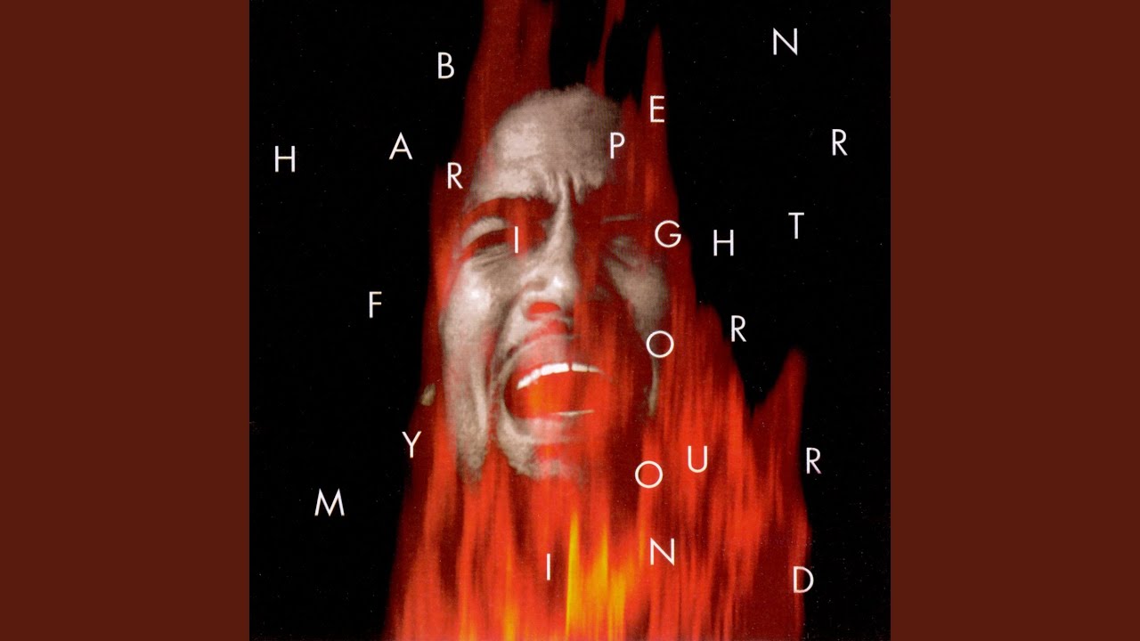 Ben Harper / Fight For Your Mind - Guitar Records