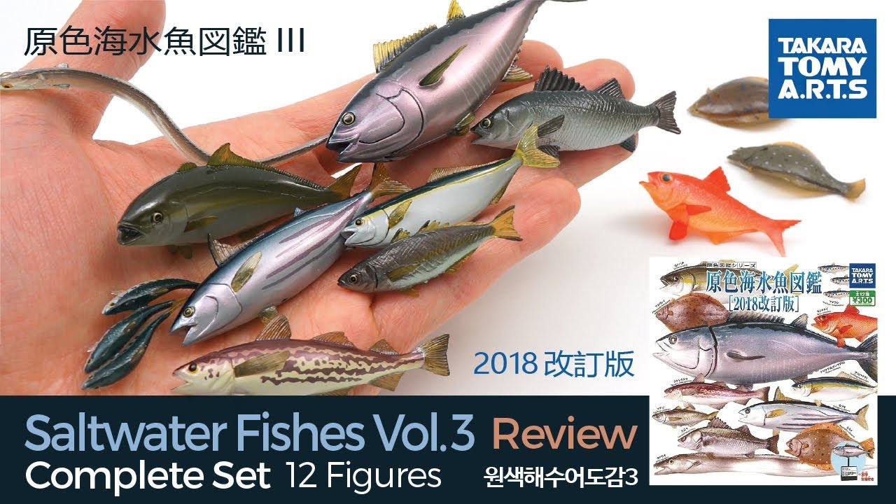 12 Realistic Saltwater Fish (Edible) Figures / 原色海水魚図鑑III