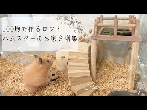 Vlog#7 | ハムスターにロフトを作って増築してみたけど…|hamster Vlog