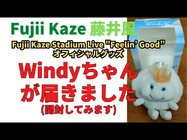 藤井風🍃 Windyちゃんが届きました。開封します Fujii Kaze Stadium