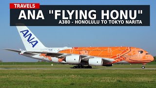 ANA Airbus A380 -The “Flying Honu” Experience (TRAVELS #17) - YouTube
