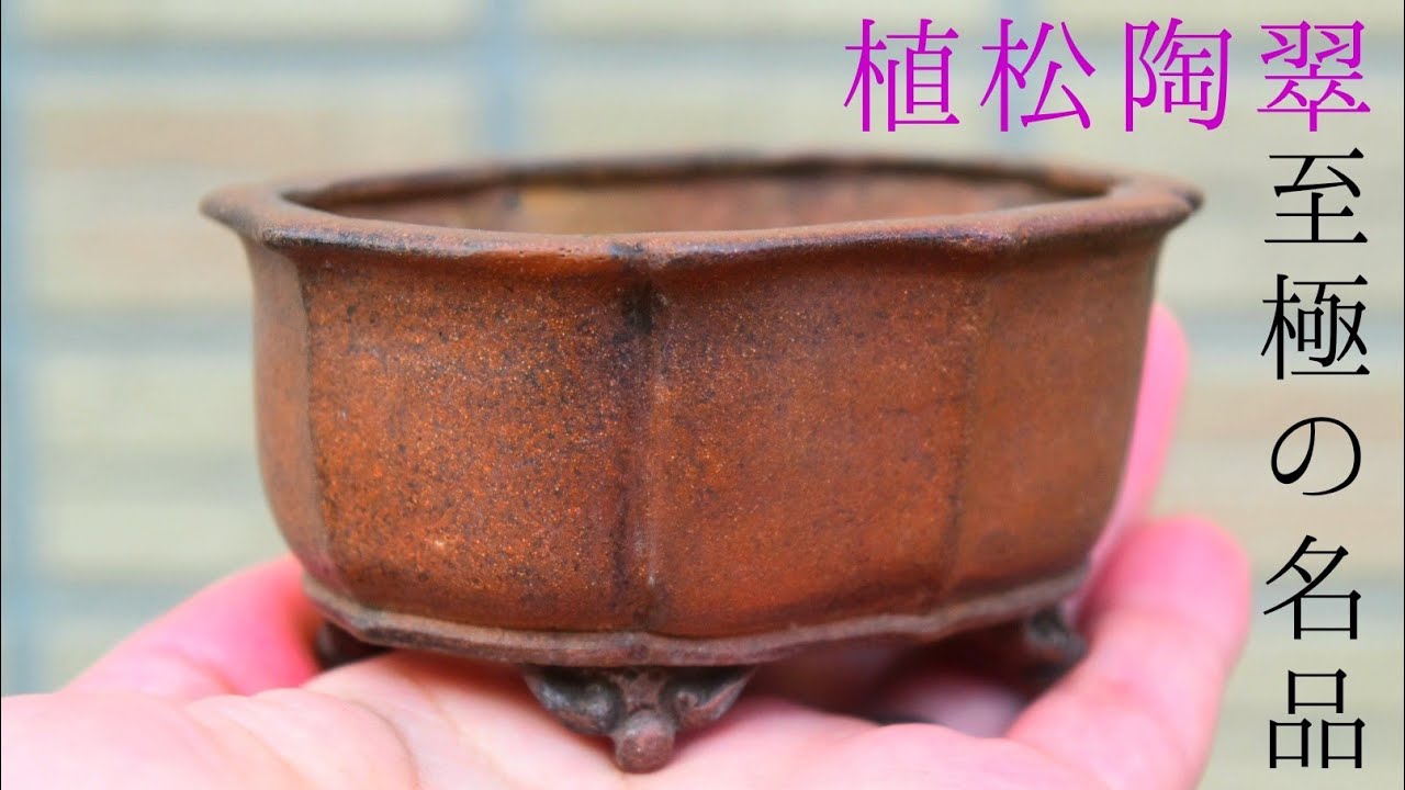 盆栽鉢紹介！植松陶翠鉢 UematsuTosui Bonsaipot - YouTube