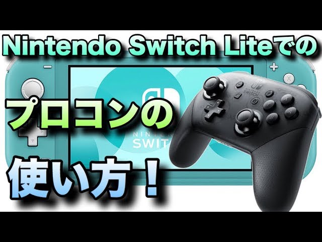 Nintendo Switch Lite + コントローラー その他もろもろNintendo