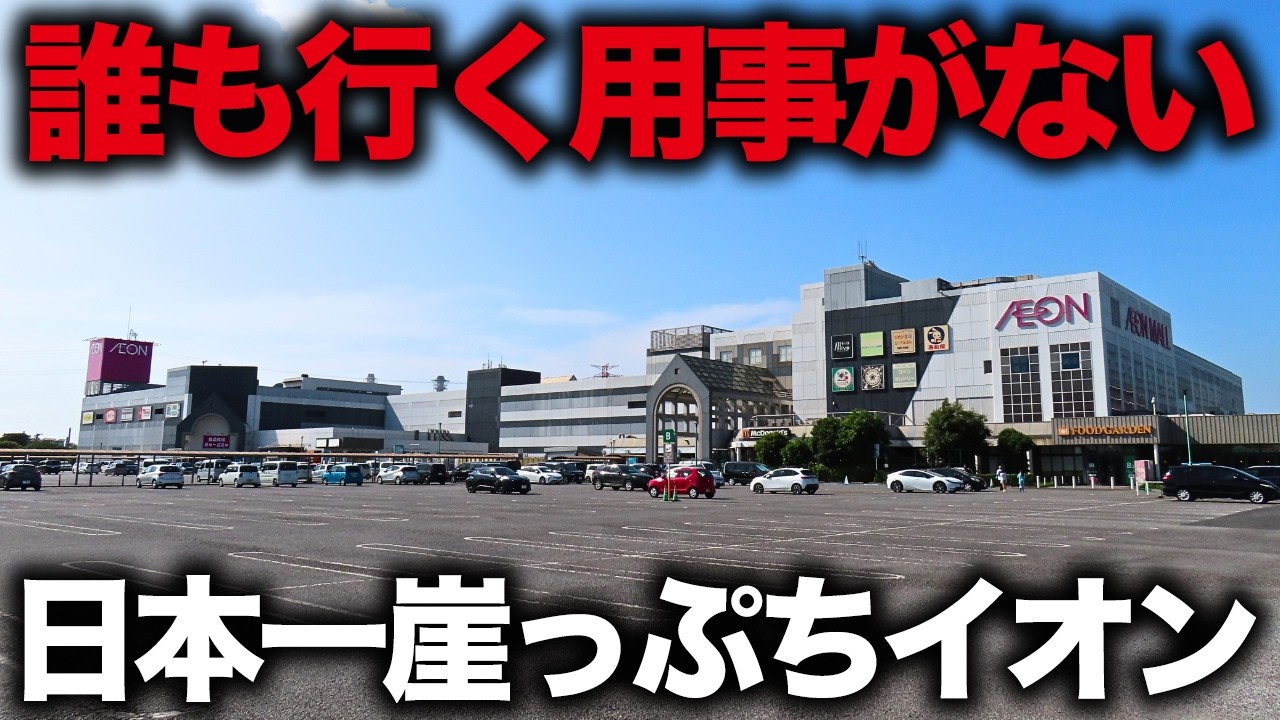 ハードオフで発売当時15万円したSHARPのLDプレーヤー【MV-D100】が1500