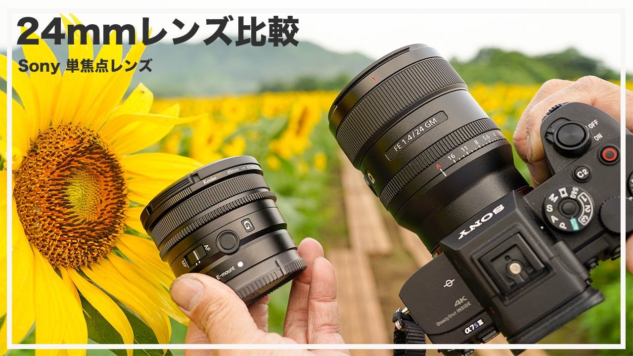 レンズ比較】ソニー広角単焦点レンズの写り比較 (sel24f28g-sel24f14gm