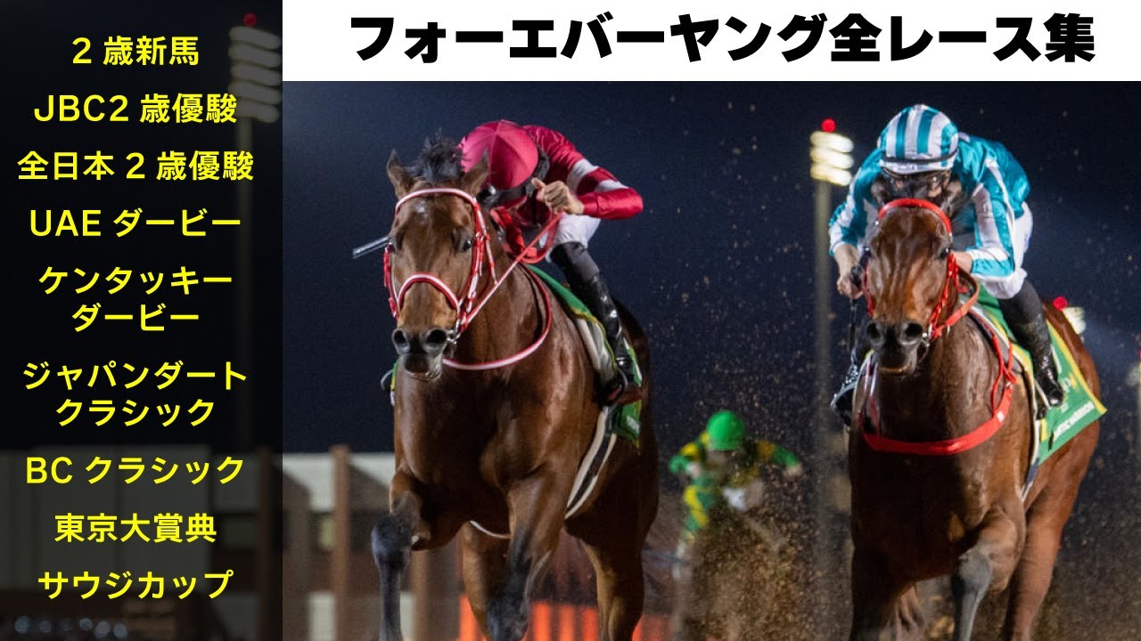 Umamusume-style Horse Racing MAD】2023 THE SAUDI CUP (G1