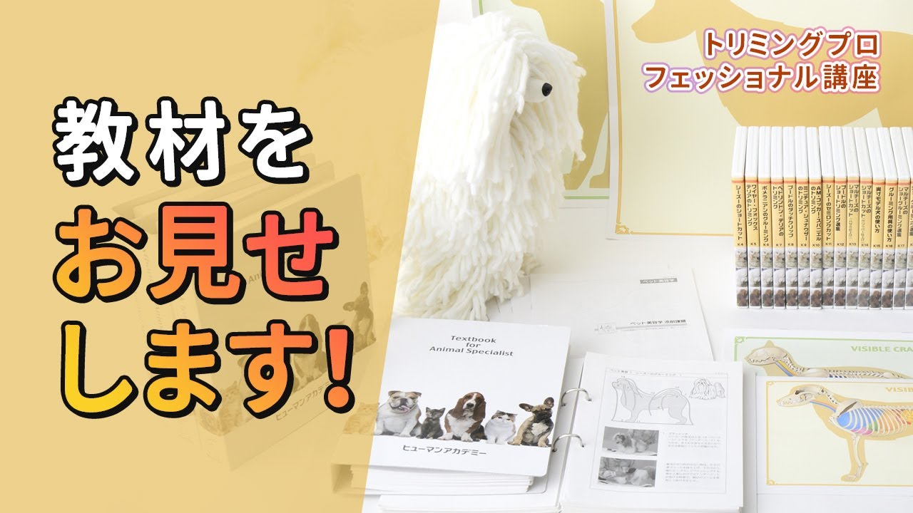 トリマープロフェッショナル講座|通信教育講座で資格なら「ヒューマン