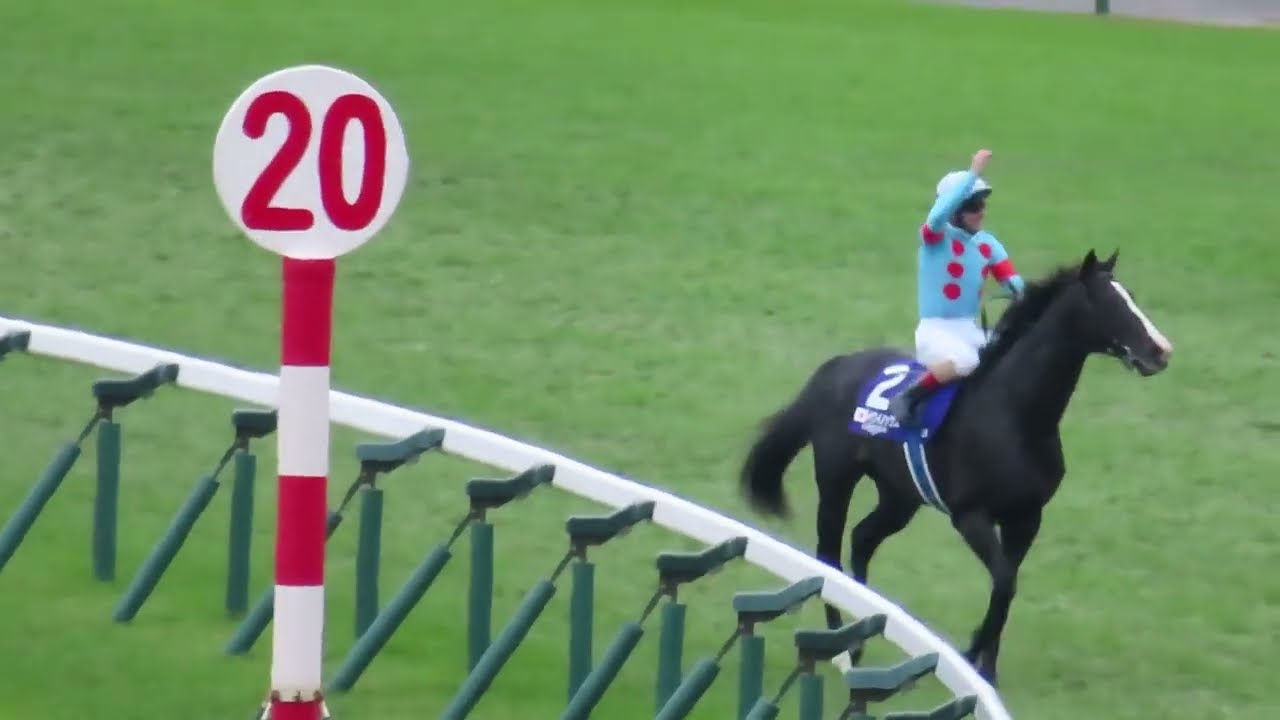 現地】2023/11/26 G1 ジャパンカップ イクイノックス C.ルメール【引退