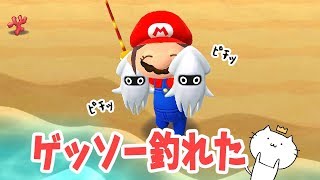 Mario Collaboration] You can catch Greninja in the sea for a