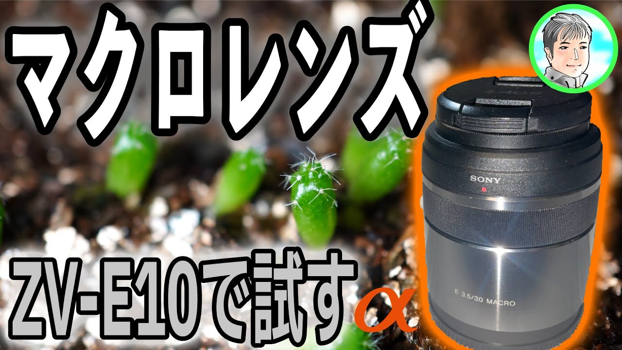 2日【ZV-E10で試す】マクロと動画、接写で表現が変わるかお手頃レンズ