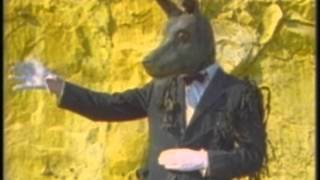 Dinosaur Jr - Whatever's Cool With Me (UK) - YouTube