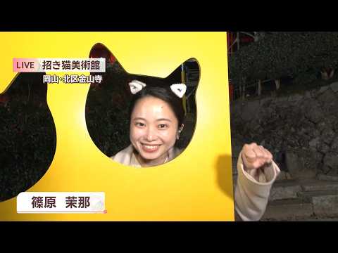 Live broadcast] Make a wish on a golden beckoning cat and try