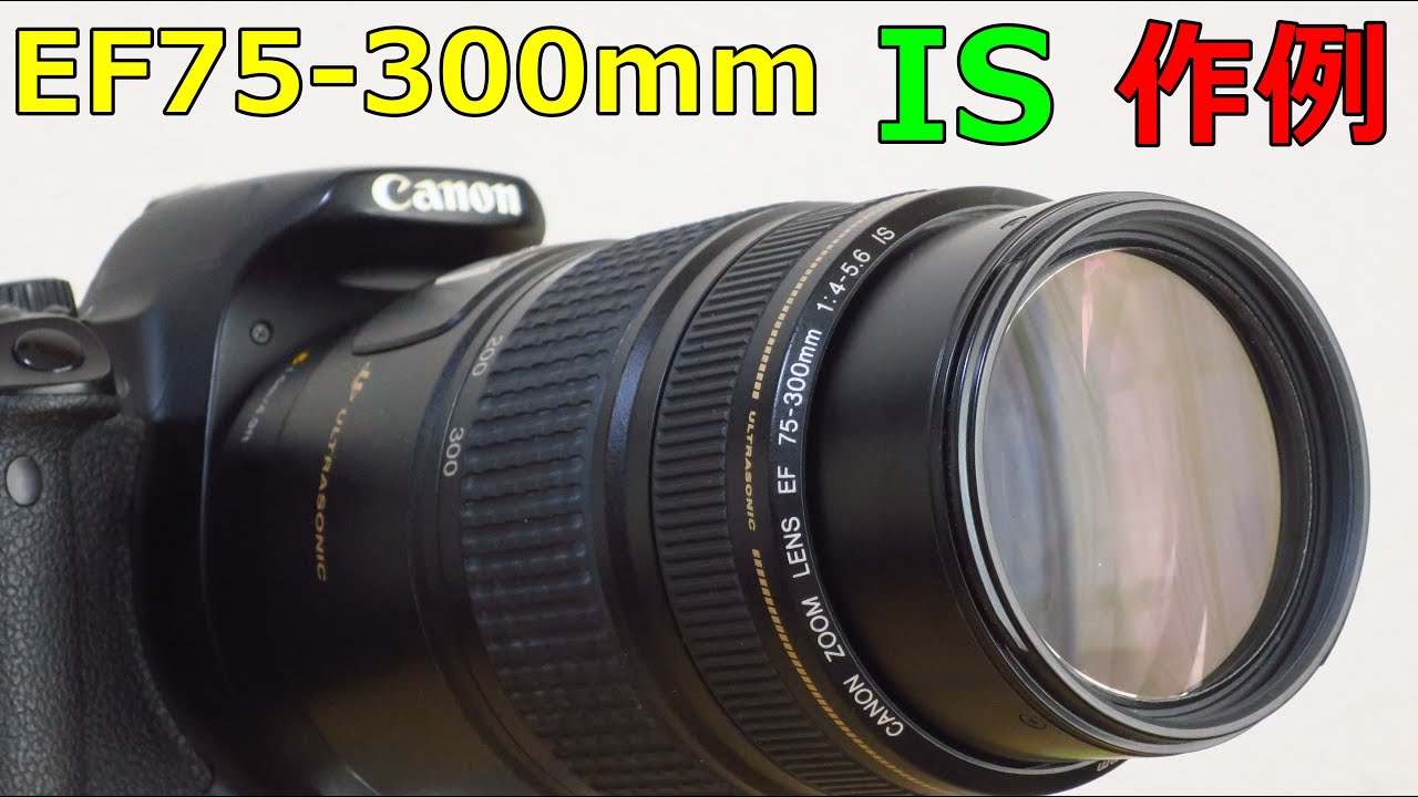 ジャンクレンズ買い物】5500円 CANON EF75-300mm IF USM 動作検証