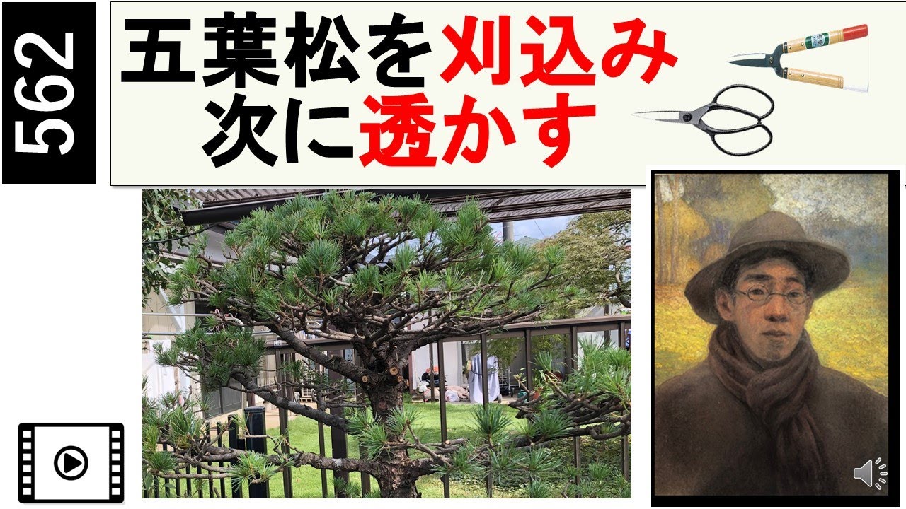 kouichi ページ 五葉松3点 mqdefault.jpg