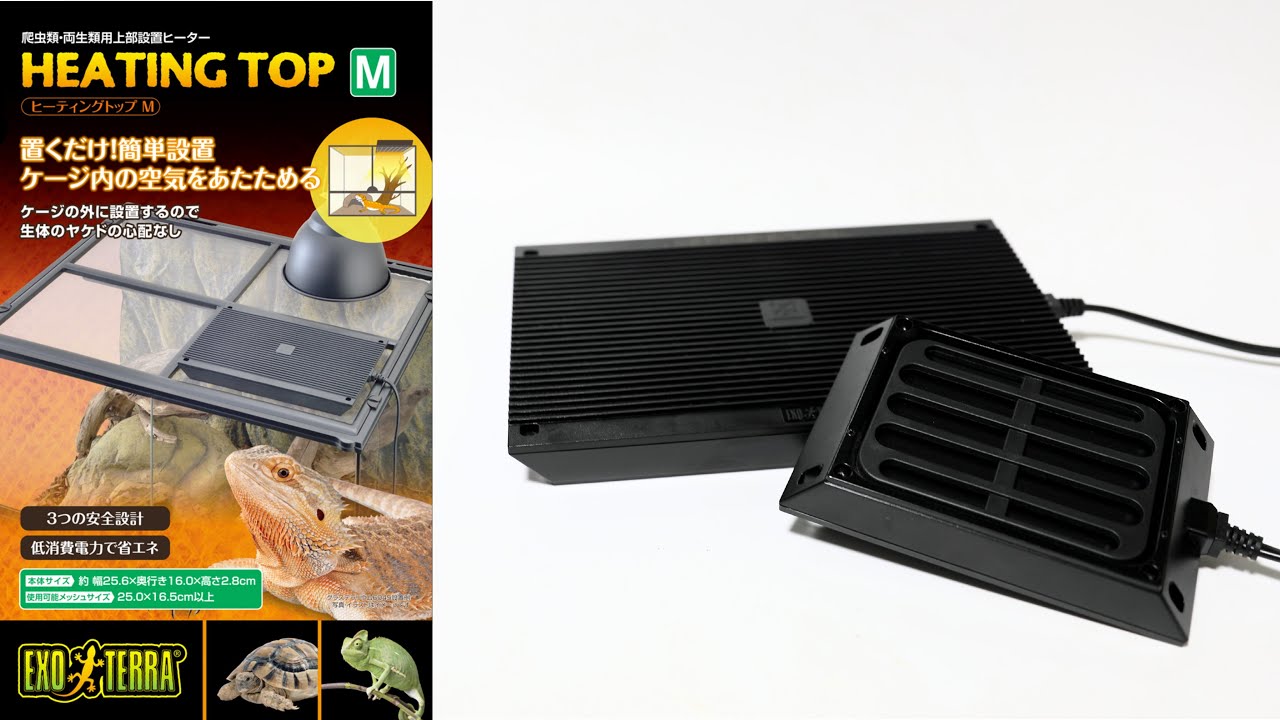 Newly released pet heater is too convenient - YouTube