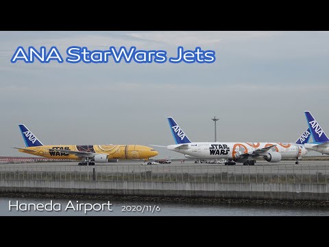 C-3PO & BB-8 】ANA StarWars Jets B777-200ER (JA743A C-3PO) & B777