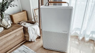 口コミ】amadana(アマダナ)空気清浄機PA-301の評価は？使って分かった