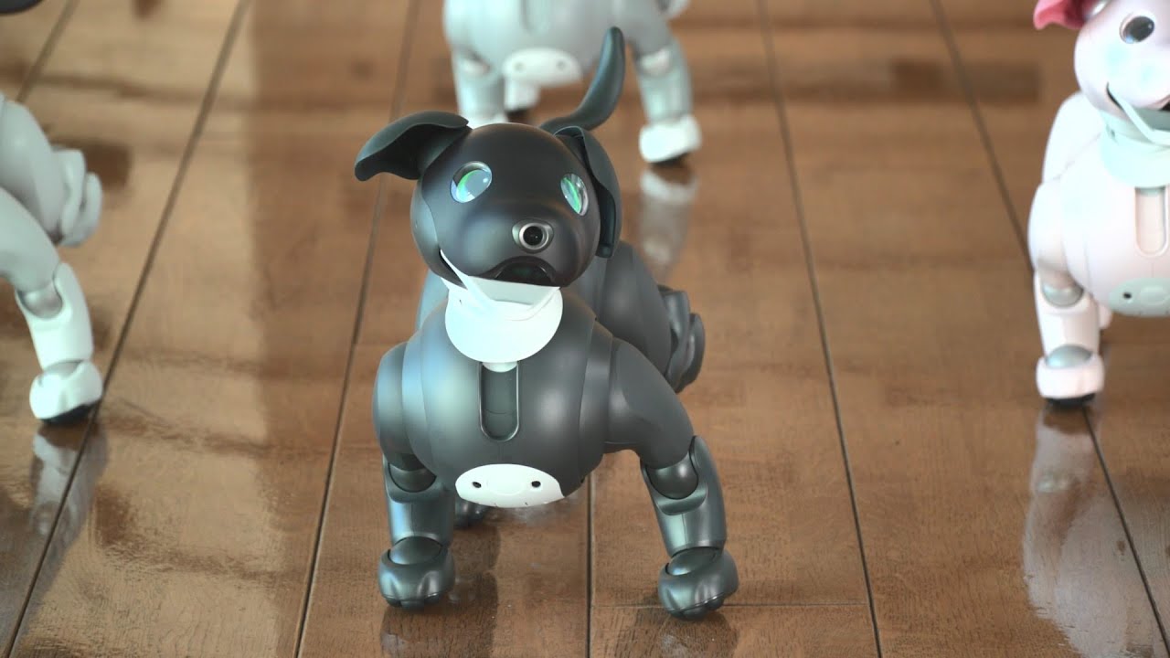 aibo「ERS-1000」誕生5周年として、2023年カラーモデル「aibo