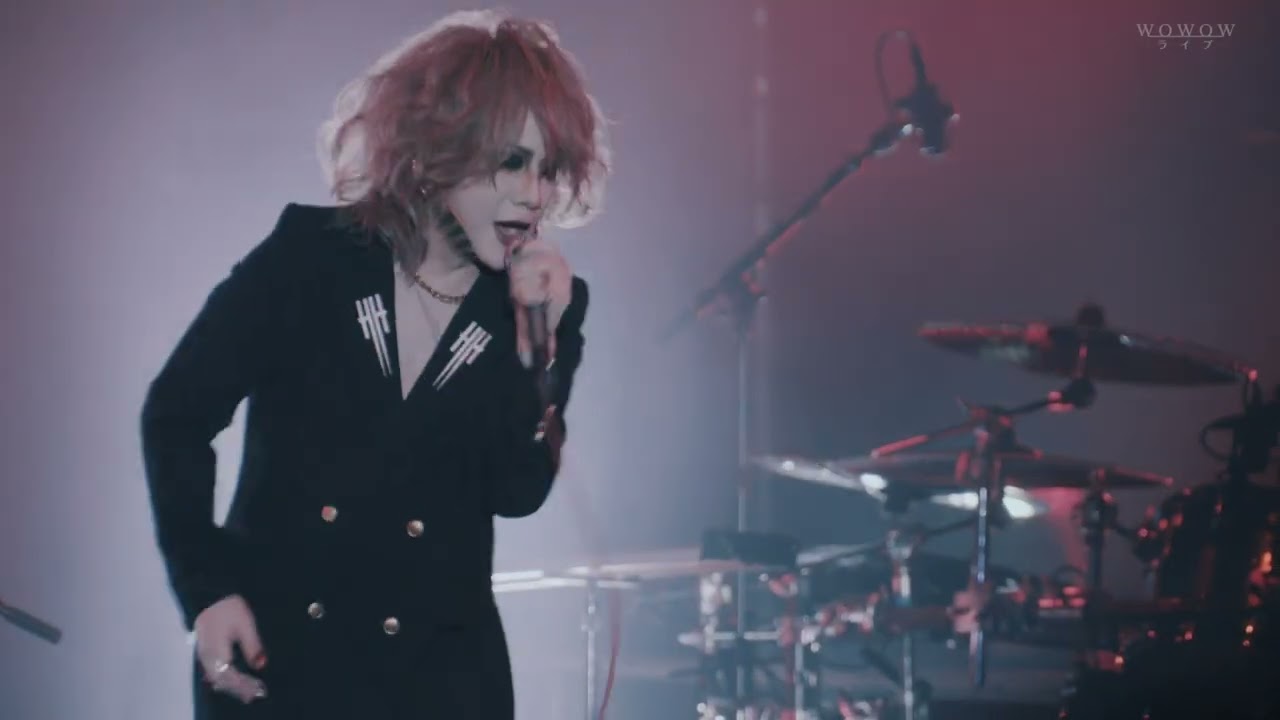 the gazette 20TH ANNIVERSARY HERESY LIVE [HD] - YouTube